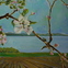 Thumb_saltwater_farm-may