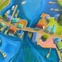 Thumb_fromabove