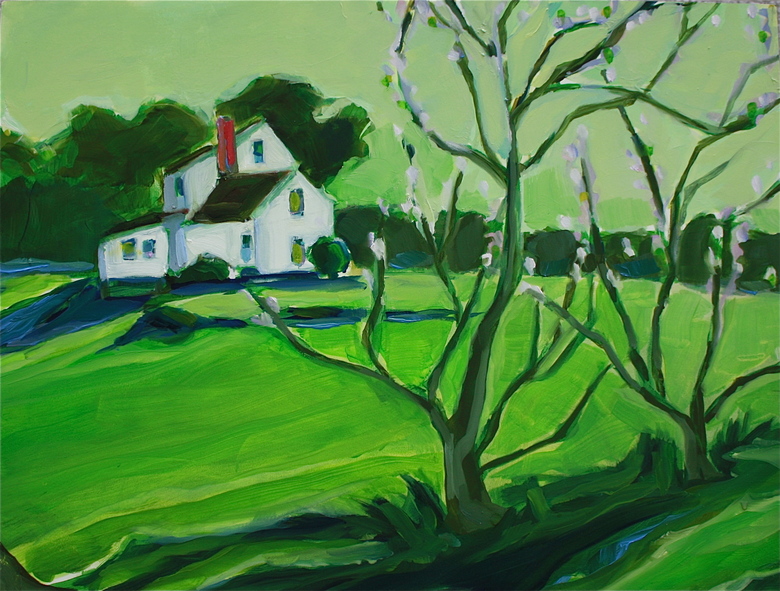 Large_green_apples